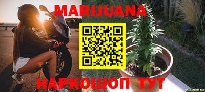 индика Аргун