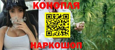 индика Аргун