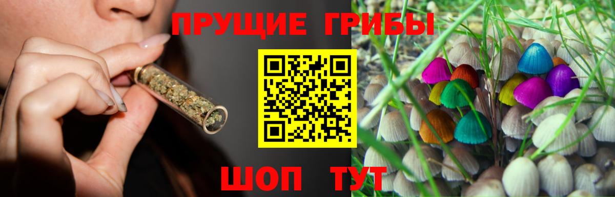 Псилоцибиновые грибы Cubensis  дарнет шоп  Галлюциногенные грибы GOLDEN TEACHER  Волгодонск  Вход с VPN 